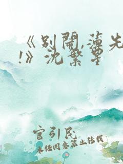《别闹,薄先生!》沈繁星