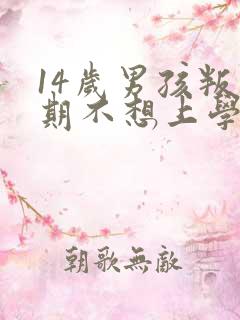 14岁男孩叛逆期不想上学怎么办