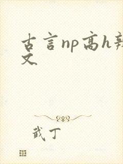 古言np高h辣文