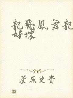 龙飞凤舞龙王你好坏