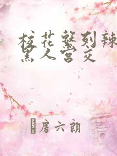 校花系列辣h文黑人宫交