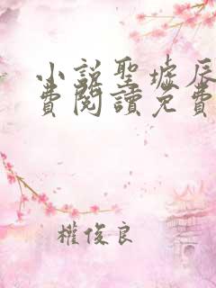 小说圣墟辰东免费阅读免费