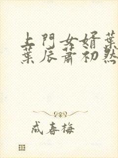 上门女婿叶辰(叶辰萧初然)最新更新