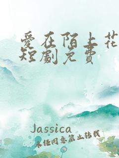 爱在陌上花开时短剧免费