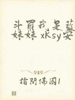 斗罗我是蓝轩宇妹妹 xksy安