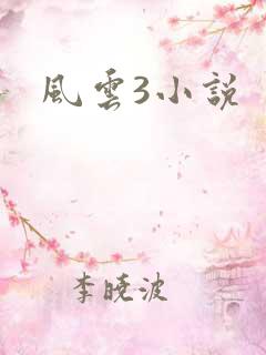 风云3小说