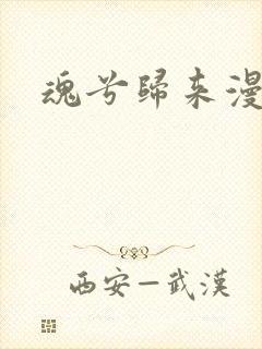 魂兮归来漫蒹葭