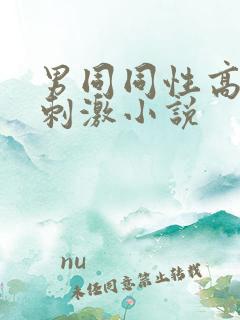 男同同性高h超刺激小说
