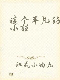 这个平凡的男子小说