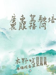 广东驾驶培训公众服务网