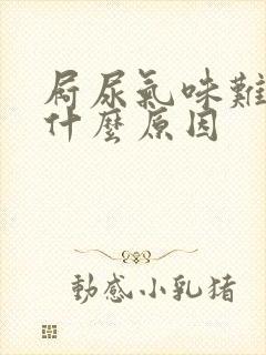 屙尿气味难闻是什么原因