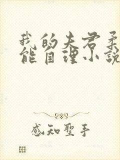 我的夫君柔弱不能自理小说