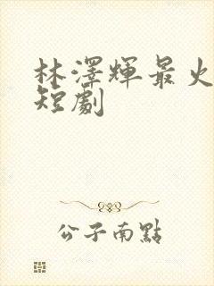 林泽辉最火十部短剧