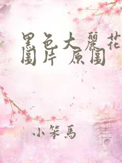 黑色大丽花真实图片 原图