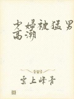 少妇被猛男揉到高潮