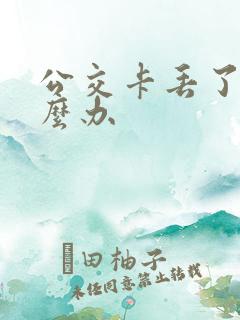 公交卡丢了该怎么办