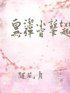 白洁小说txt无弹窗笔趣阁