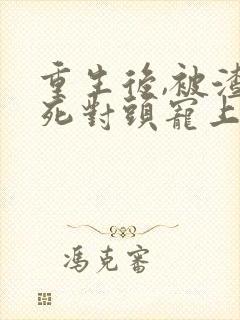 重生后,被渣男死对头宠上天全集