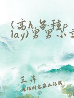 (高h,各种play)男男小说