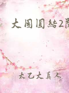 大团圆结2阅读