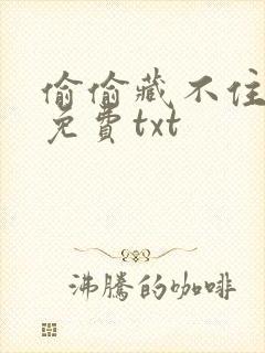 偷偷藏不住小说免费txt