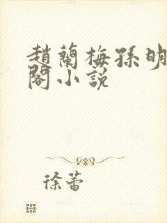 赵兰梅孙明笔趣阁小说