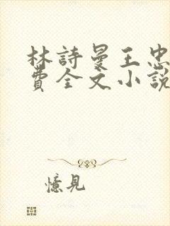 林诗曼王忠文免费全文小说的名称