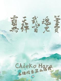 霸天武魂笔趣阁无弹窗免费阅读