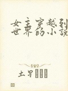 女主穿越到动漫世界的小说