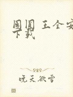 团圆 王全安 下载