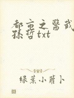 都市之医武风流孙哲txt