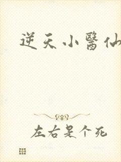 逆天小医仙陈平