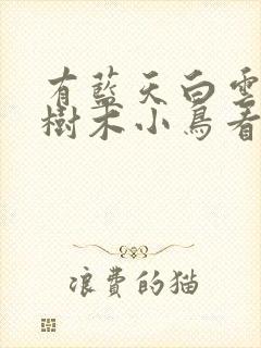 有蓝天白云花草树木小鸟看图写话