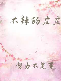 不辣的皮皮小说