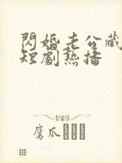 闪婚老公藏不住短剧热播