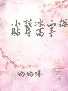 小说冰山总裁的贴身高手