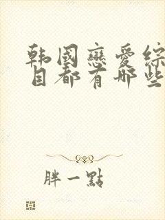 韩国恋爱综艺节目都有哪些