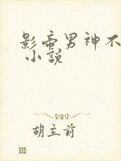 影帝男神不节制 小说