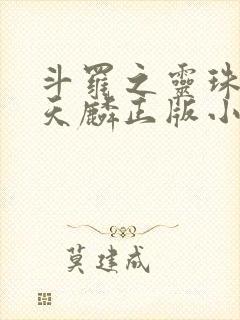 斗罗之灵珠神剑天麟正版小说