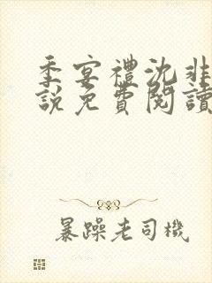 季宴礼沈非璃小说免费阅读最新章节