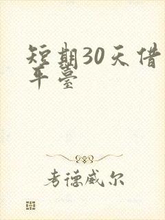 短期30天借款平台