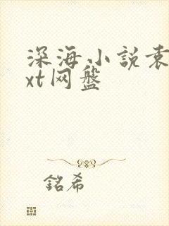 深海小说袁许txt网盘