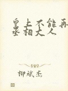 皇上不能再进了丞相大人