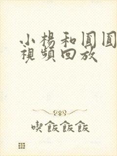 小杨和圆圆婚礼视频回放