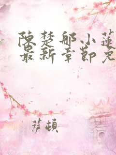 陈楚那小莲小说最新章节免费阅读