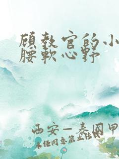 顾教官的小祖宗腰软心野