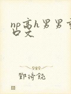 np高h男男重口文