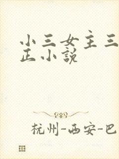 小三女主三观不正小说