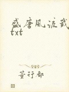 盛唐风流武状元txt