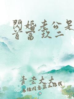 闪婚老公是千亿首富 玖二